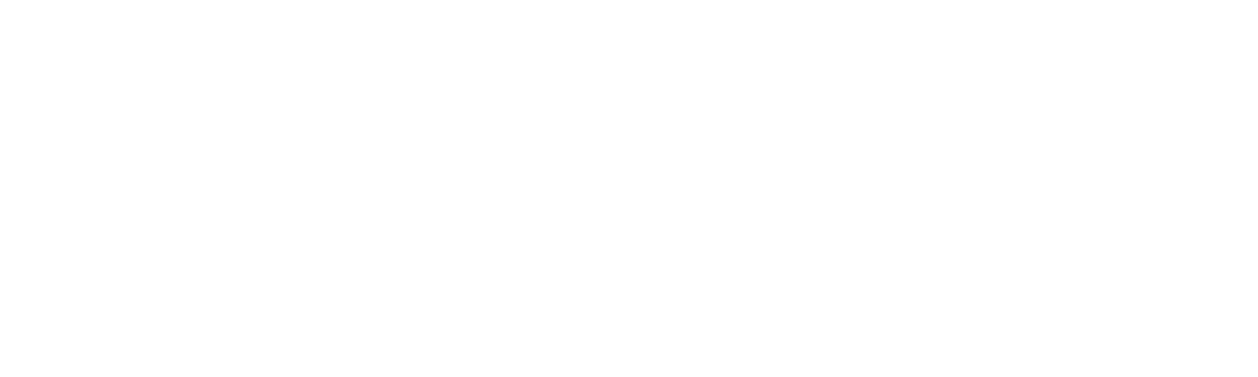 logo_hirschmann_neu